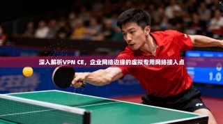 深入解析VPN CE，企业网络边缘的虚拟专用网络接入点