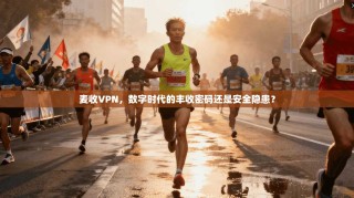 麦收VPN，数字时代的丰收密码还是安全隐患？