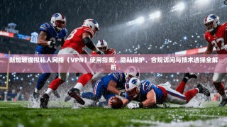 新加坡虚拟私人网络（VPN）使用指南，隐私保护、合规访问与技术选择全解析