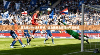 卫士通VPN技术解析，企业级安全通信的可靠选择