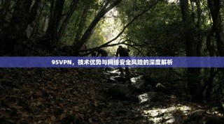 95VPN，技术优势与网络安全风险的深度解析