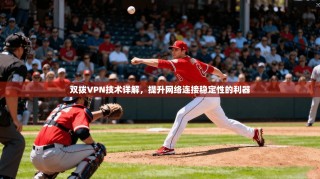 双拨VPN技术详解，提升网络连接稳定性的利器