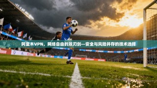 阿童木VPN，网络自由的双刃剑—安全与风险并存的技术选择