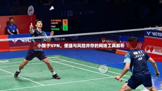 小猴子VPN，便捷与风险并存的网络工具解析