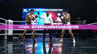 124VPN，技术革新背后的网络安全挑战与应对策略