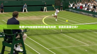 免费VPN加速服务的真相与风险，你真的需要它吗？