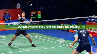深入解析VPN接口下载，安全连接与网络访问的新选择
