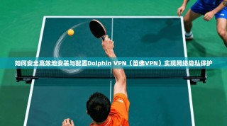 如何安全高效地安装与配置Dolphin VPN（笛佛VPN）实现网络隐私保护
