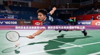 如何安全合法地使用VPN，网络自由与合规使用的平衡之道