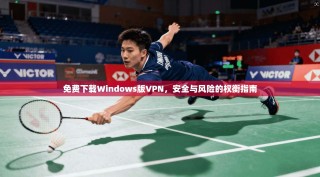 免费下载Windows版VPN，安全与风险的权衡指南