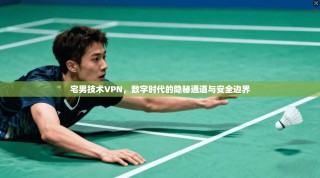 宅男技术VPN，数字时代的隐秘通道与安全边界