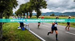 淘宝91VPN乱象，网络监管漏洞下的灰色地带与用户风险警示