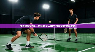 付费稳定VPN，企业与个人用户的安全与效率之选