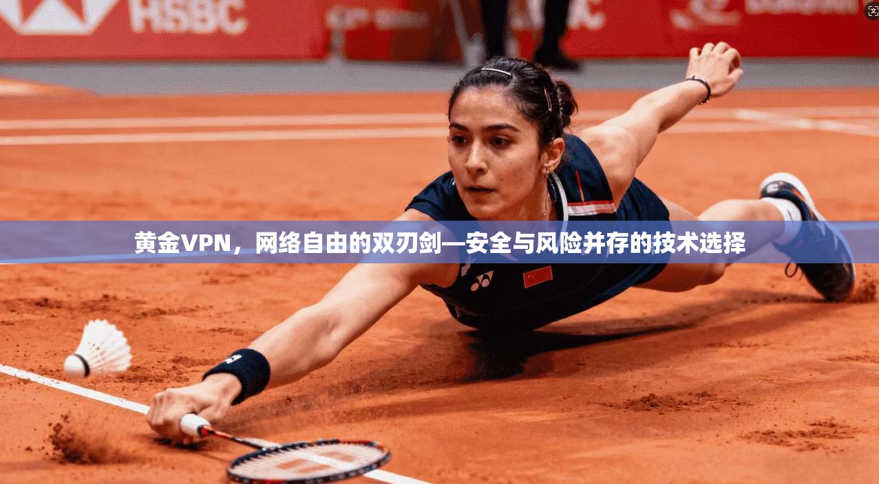 黄金VPN，网络自由的双刃剑—安全与风险并存的技术选择  第1张