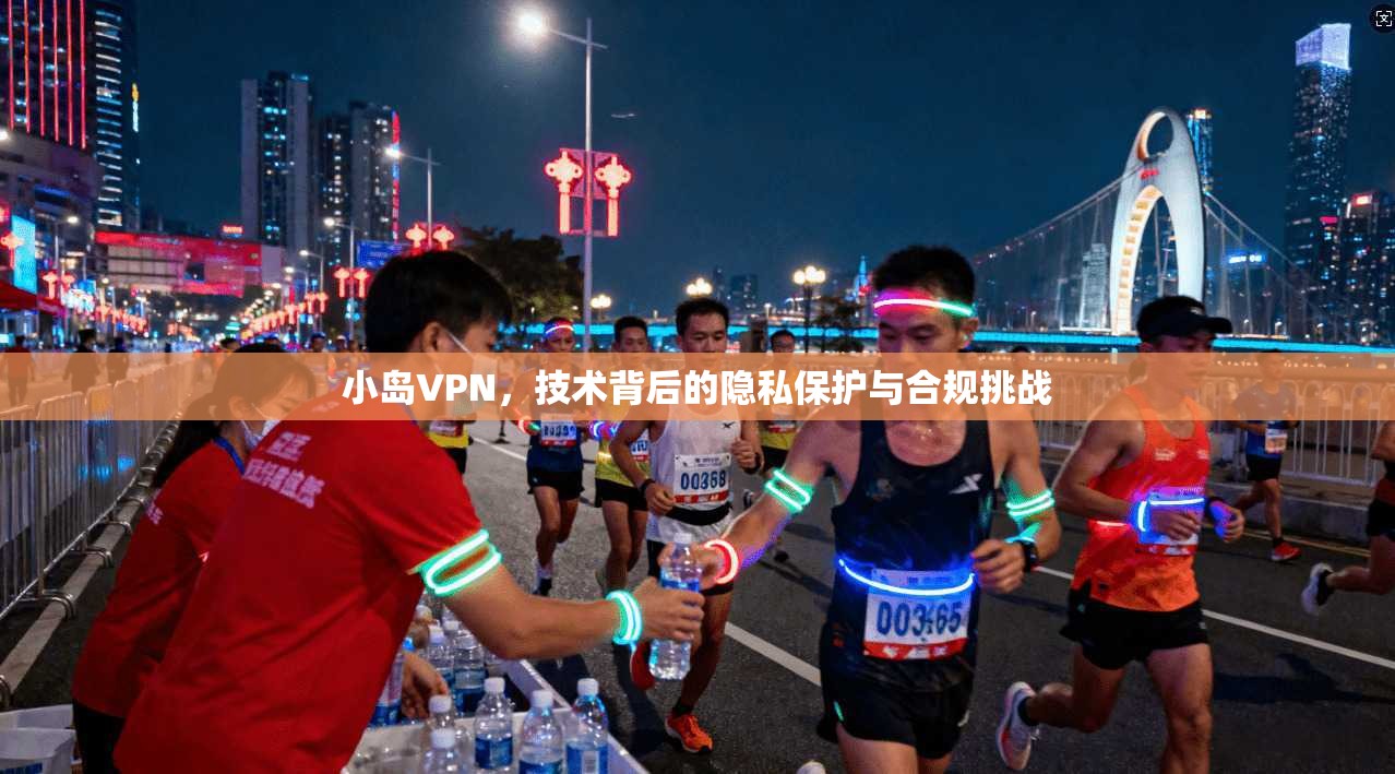 小岛VPN，技术背后的隐私保护与合规挑战  第1张