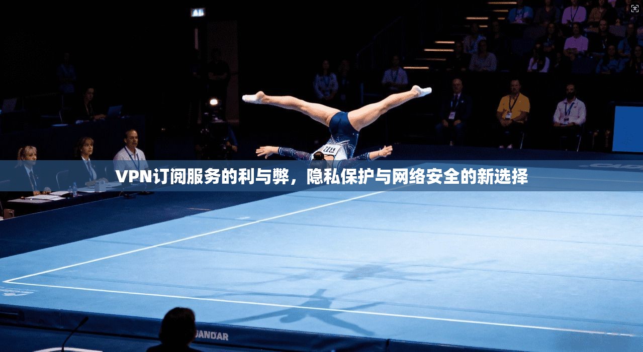 VPN订阅服务的利与弊，隐私保护与网络安全的新选择  第1张