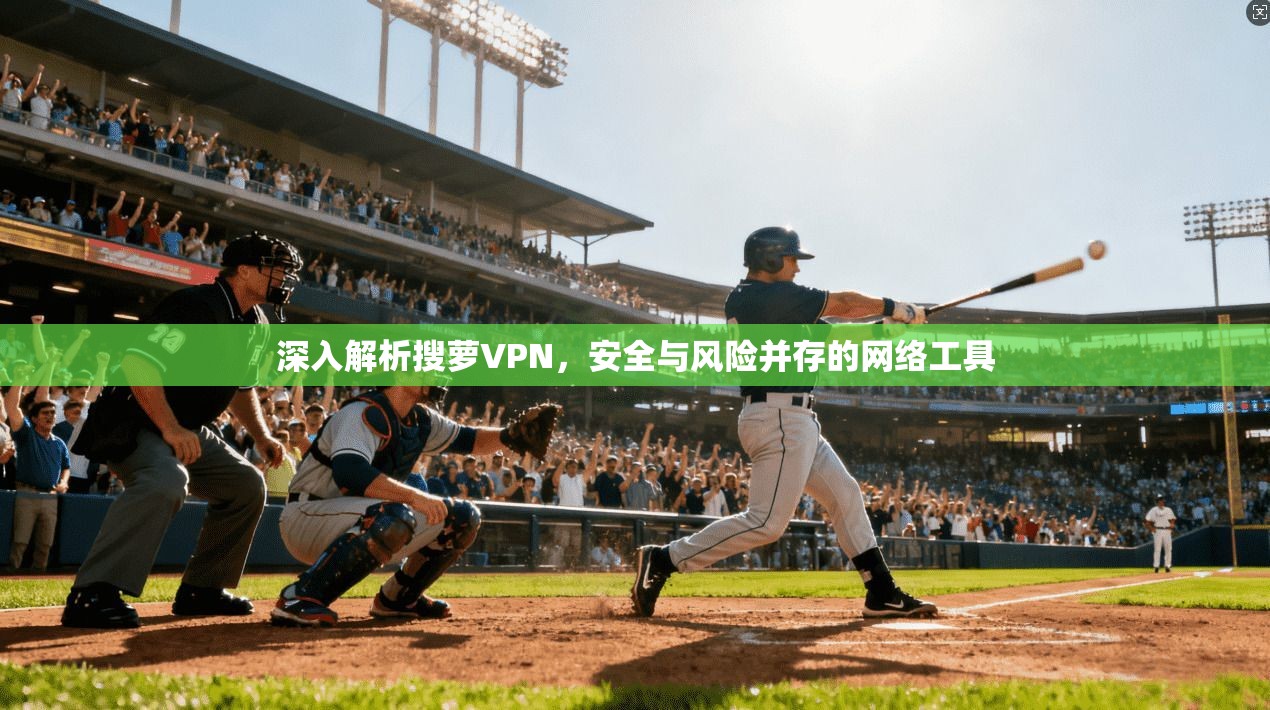 深入解析搜萝VPN，安全与风险并存的网络工具  第1张