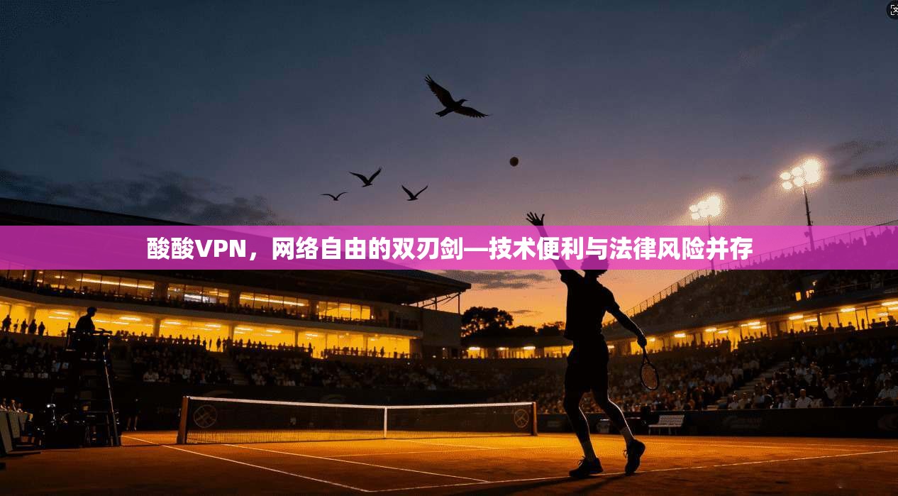 酸酸VPN,网络自由的双刃剑—技术便利与法律风险并存 第1张 酸酸VPN,网络自由的双刃剑—技术便利与法律风险并存 第1张