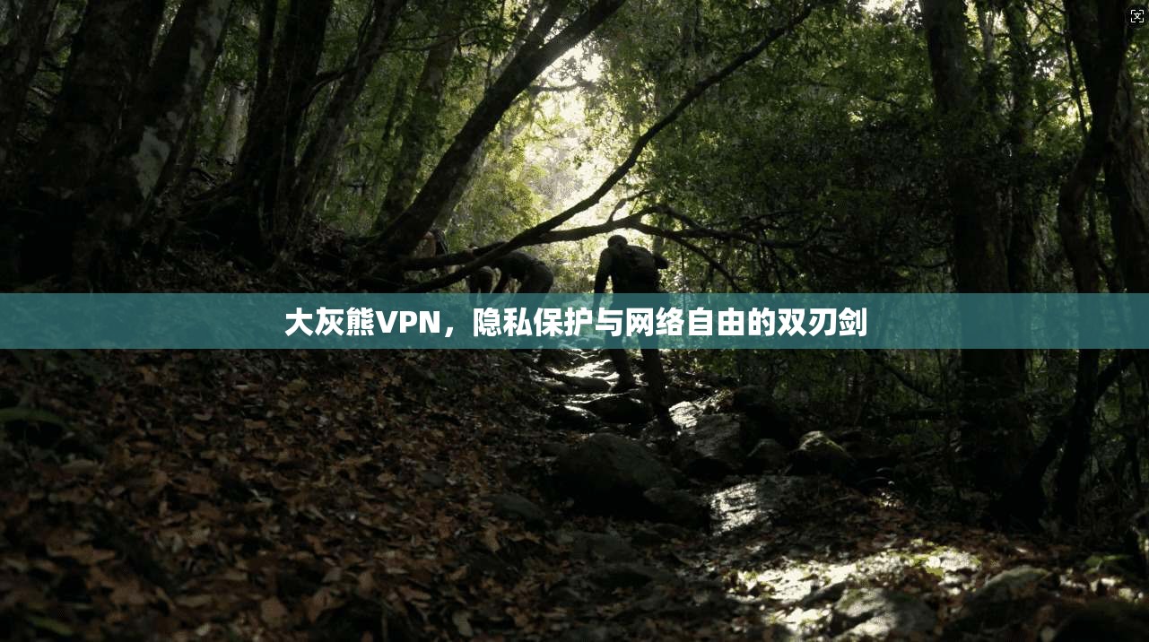 大灰熊VPN，隐私保护与网络自由的双刃剑  第1张