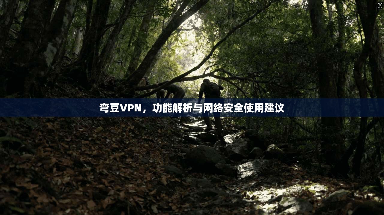 弯豆VPN，功能解析与网络安全使用建议  第1张