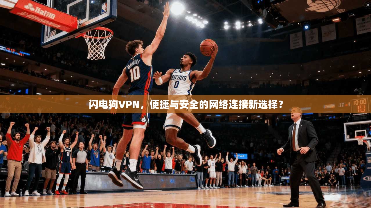 闪电狗VPN，便捷与安全的网络连接新选择？  第1张