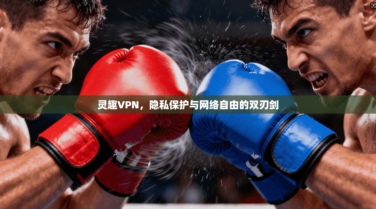 灵趣VPN,隐私保护与网络自由的双刃剑 第1张 灵趣VPN,隐私保护与网络自由的双刃剑 第1张