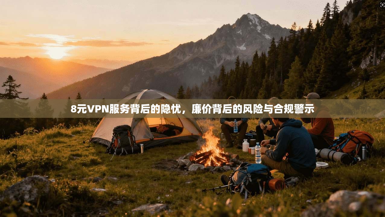 8元VPN服务背后的隐忧，廉价背后的风险与合规警示  第1张