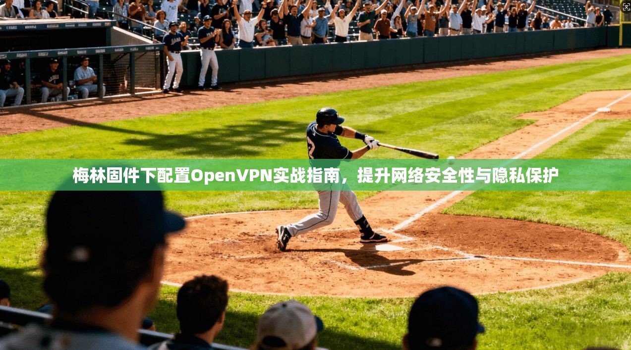 梅林固件下配置OpenVPN实战指南，提升网络安全性与隐私保护  第1张