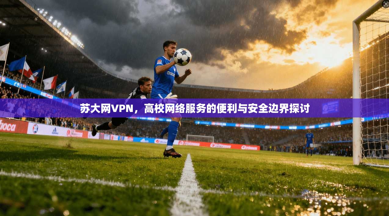 苏大网VPN，高校网络服务的便利与安全边界探讨  第1张