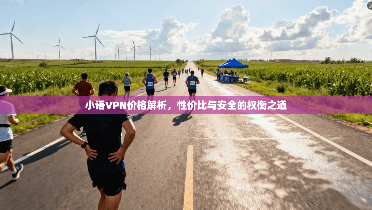 小语VPN价格解析，性价比与安全的权衡之道  第1张