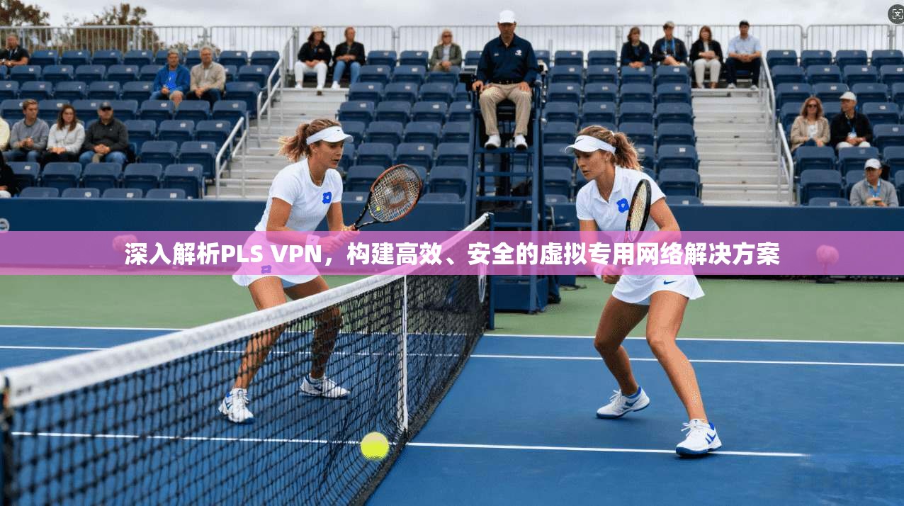 深入解析PLS VPN,构建高效、安全的虚拟专用网络解决方案 第1张 深入解析PLS VPN,构建高效、安全的虚拟专用网络解决方案 第1张