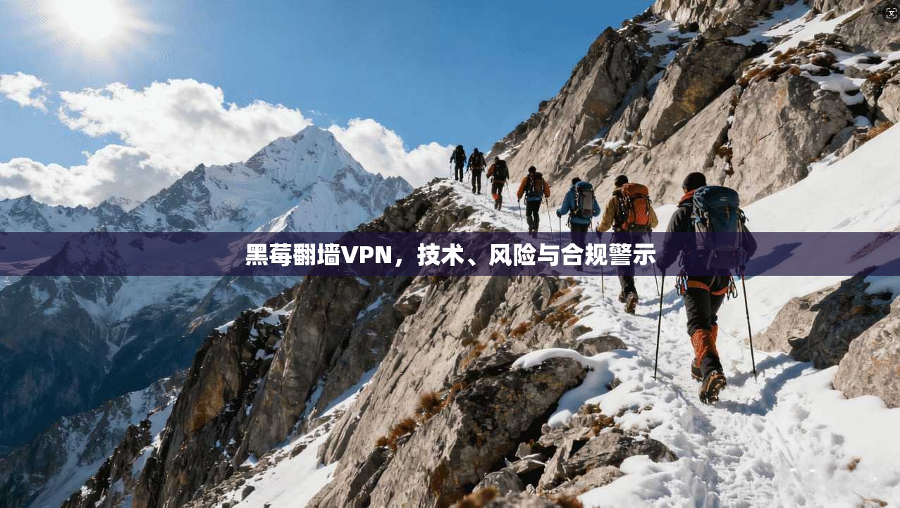 黑莓翻墙VPN，技术、风险与合规警示  第1张