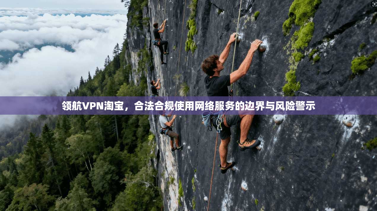 领航VPN淘宝,合法合规使用网络服务的边界与风险警示 第1张 领航VPN淘宝,合法合规使用网络服务的边界与风险警示 第1张