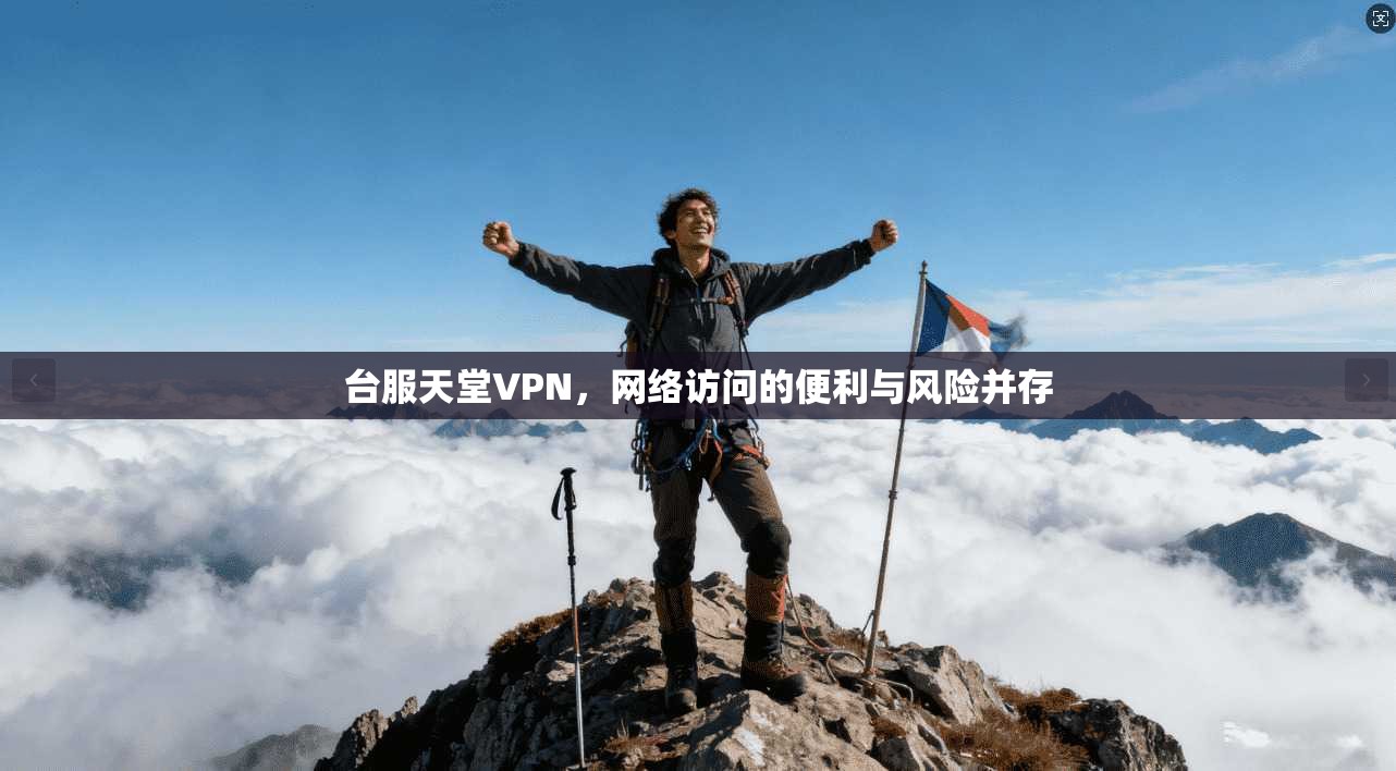 台服天堂VPN，网络访问的便利与风险并存  第1张