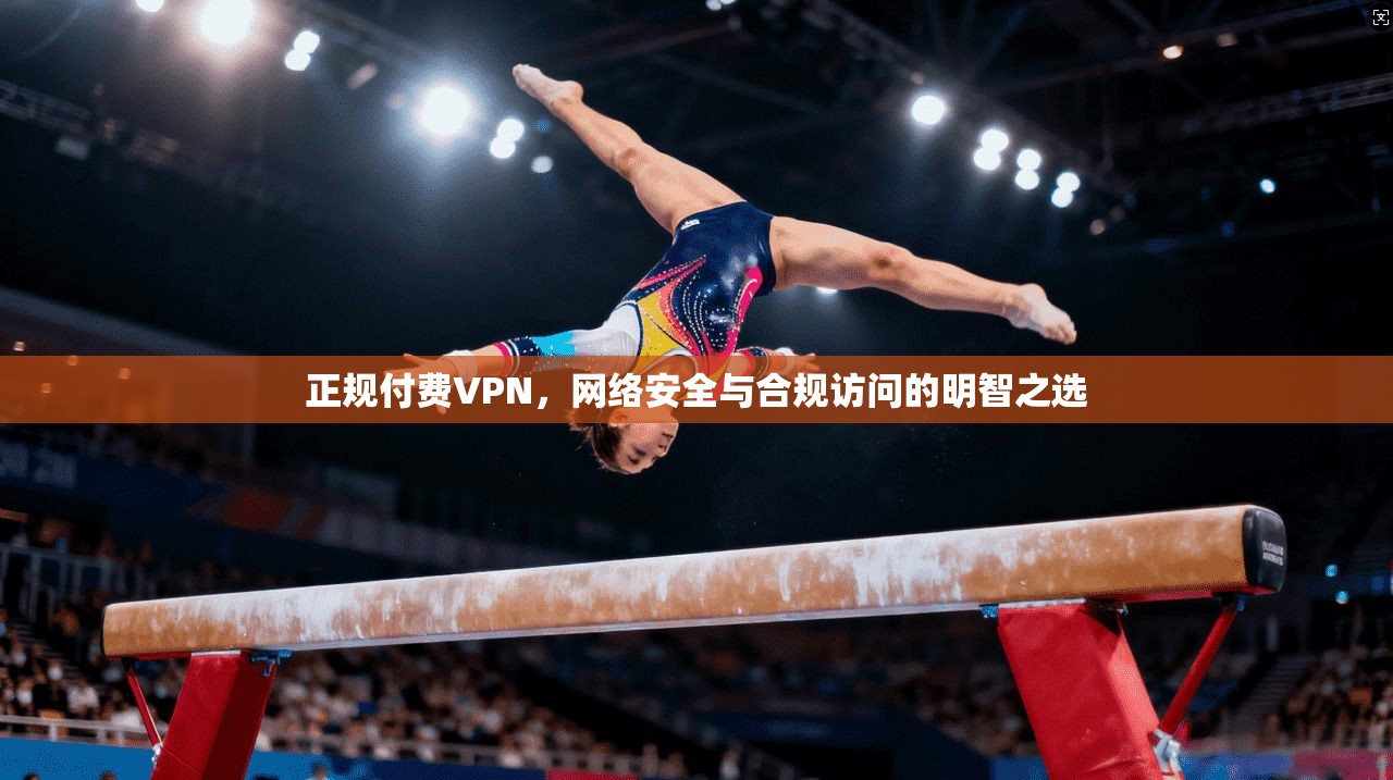 正规付费VPN，网络安全与合规访问的明智之选  第1张