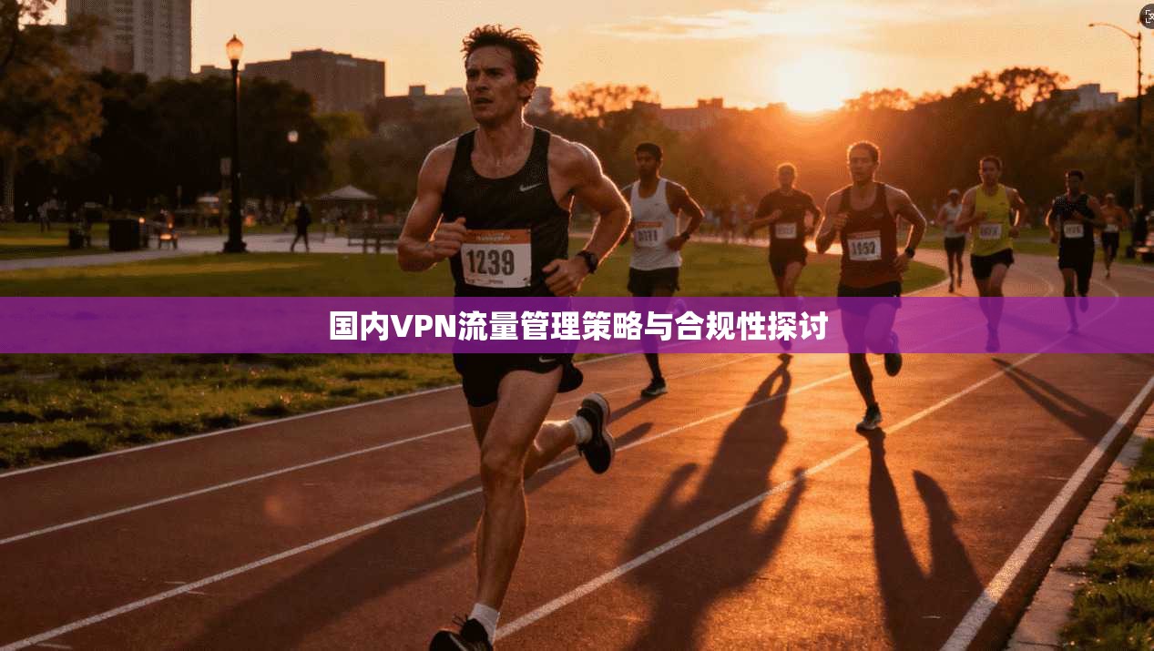 国内VPN流量管理策略与合规性探讨  第1张
