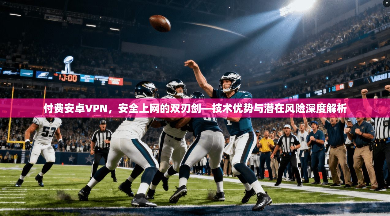 付费安卓VPN，安全上网的双刃剑—技术优势与潜在风险深度解析  第1张
