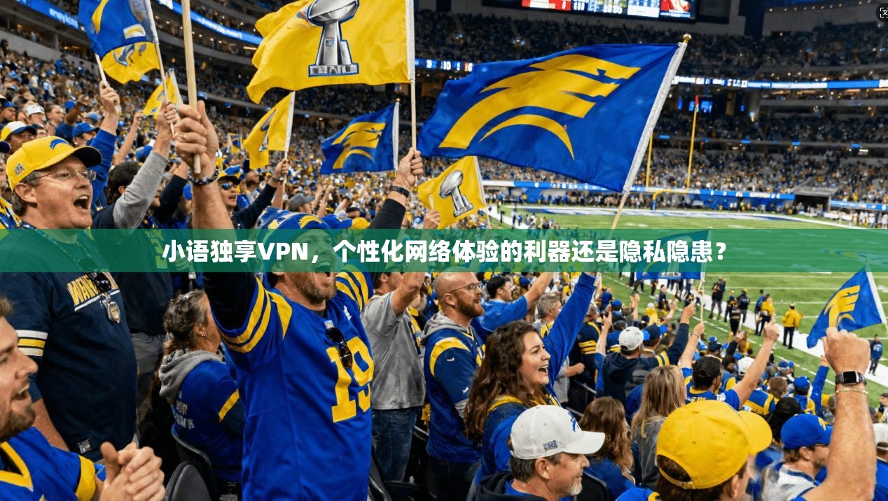 小语独享VPN，个性化网络体验的利器还是隐私隐患？  第1张
