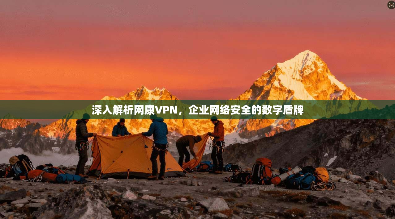 深入解析网康VPN，企业网络安全的数字盾牌