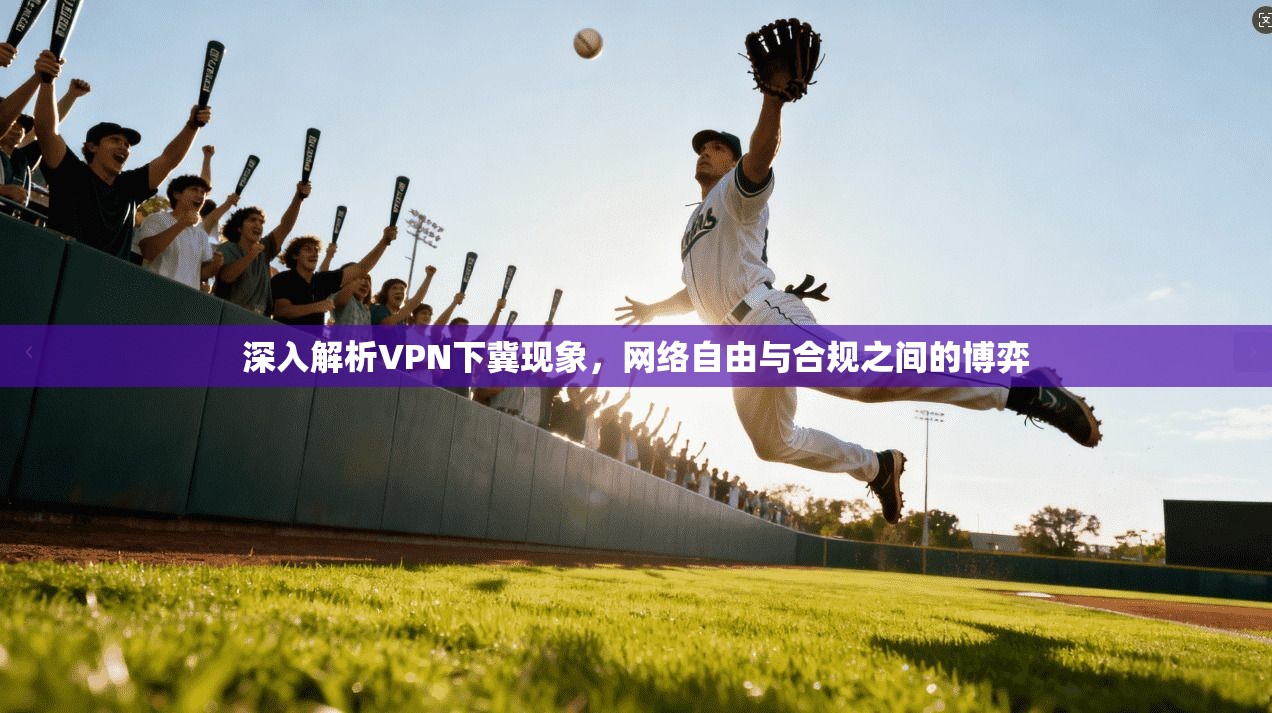 深入解析VPN下冀现象，网络自由与合规之间的博弈