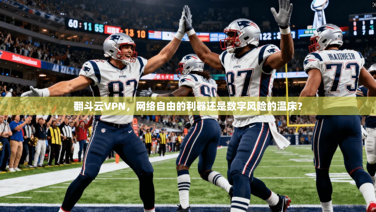 翻斗云VPN，网络自由的利器还是数字风险的温床？