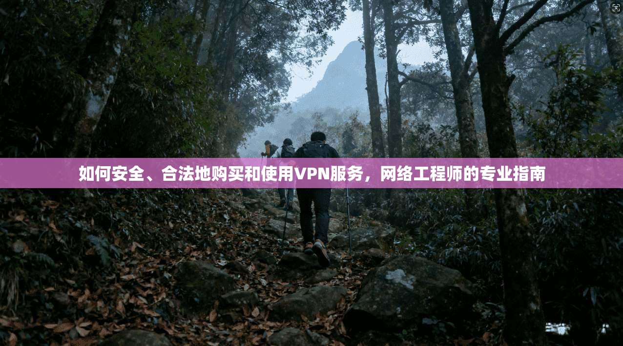如何安全、合法地购买和使用VPN服务，网络工程师的专业指南