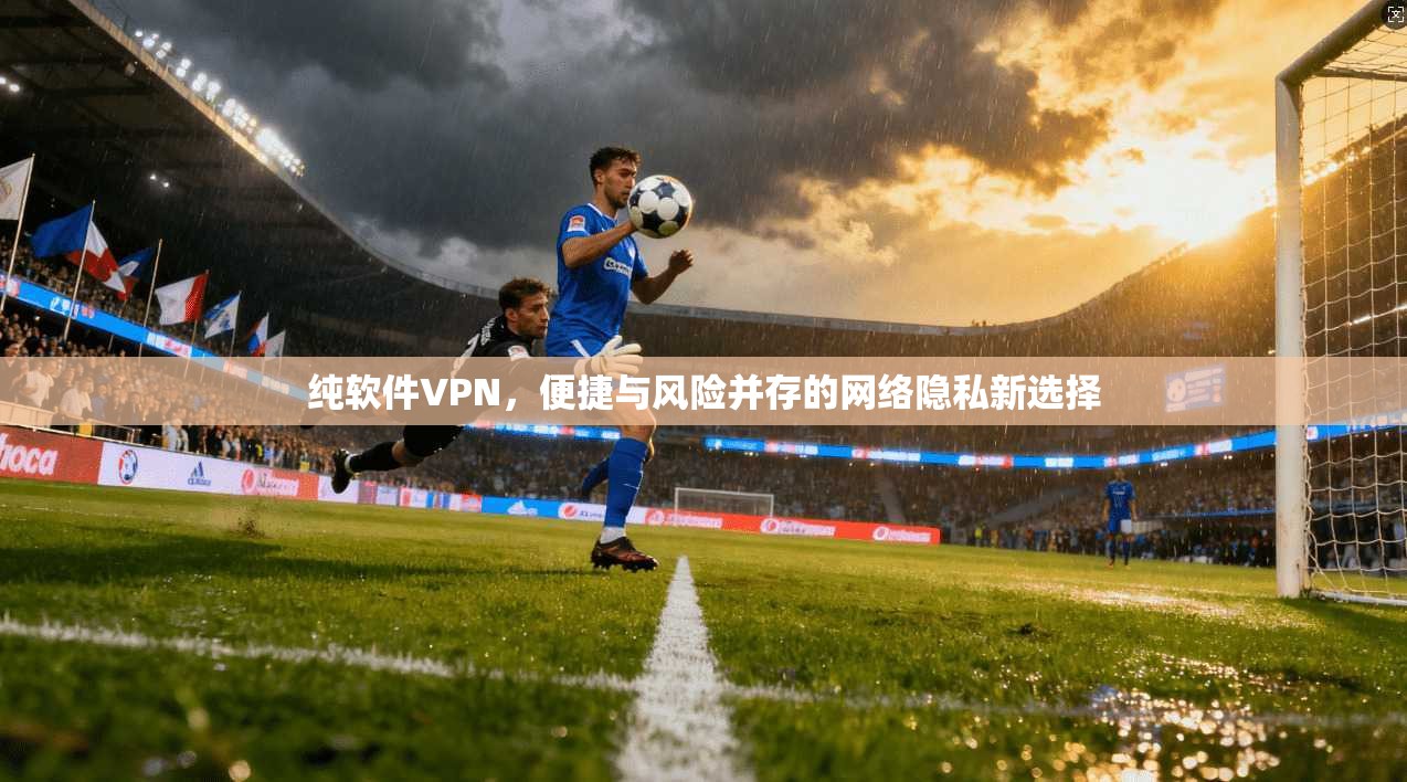 纯软件VPN，便捷与风险并存的网络隐私新选择
