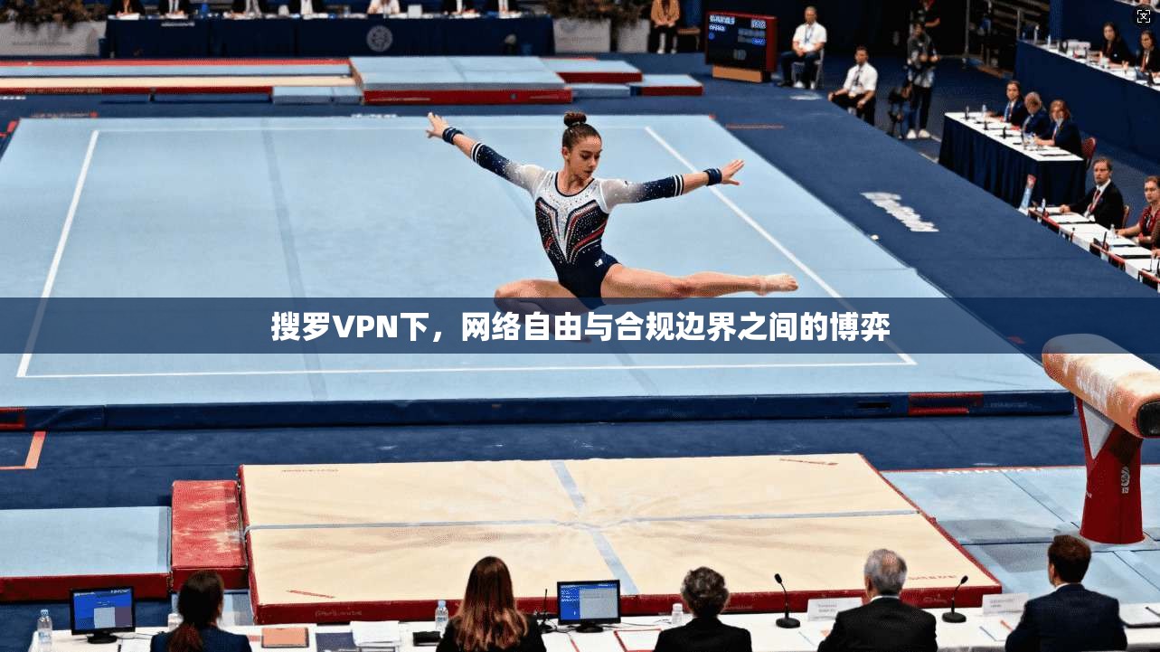 搜罗VPN下，网络自由与合规边界之间的博弈