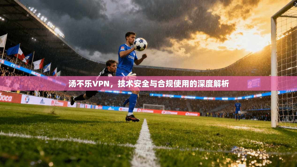 汤不乐VPN，技术安全与合规使用的深度解析