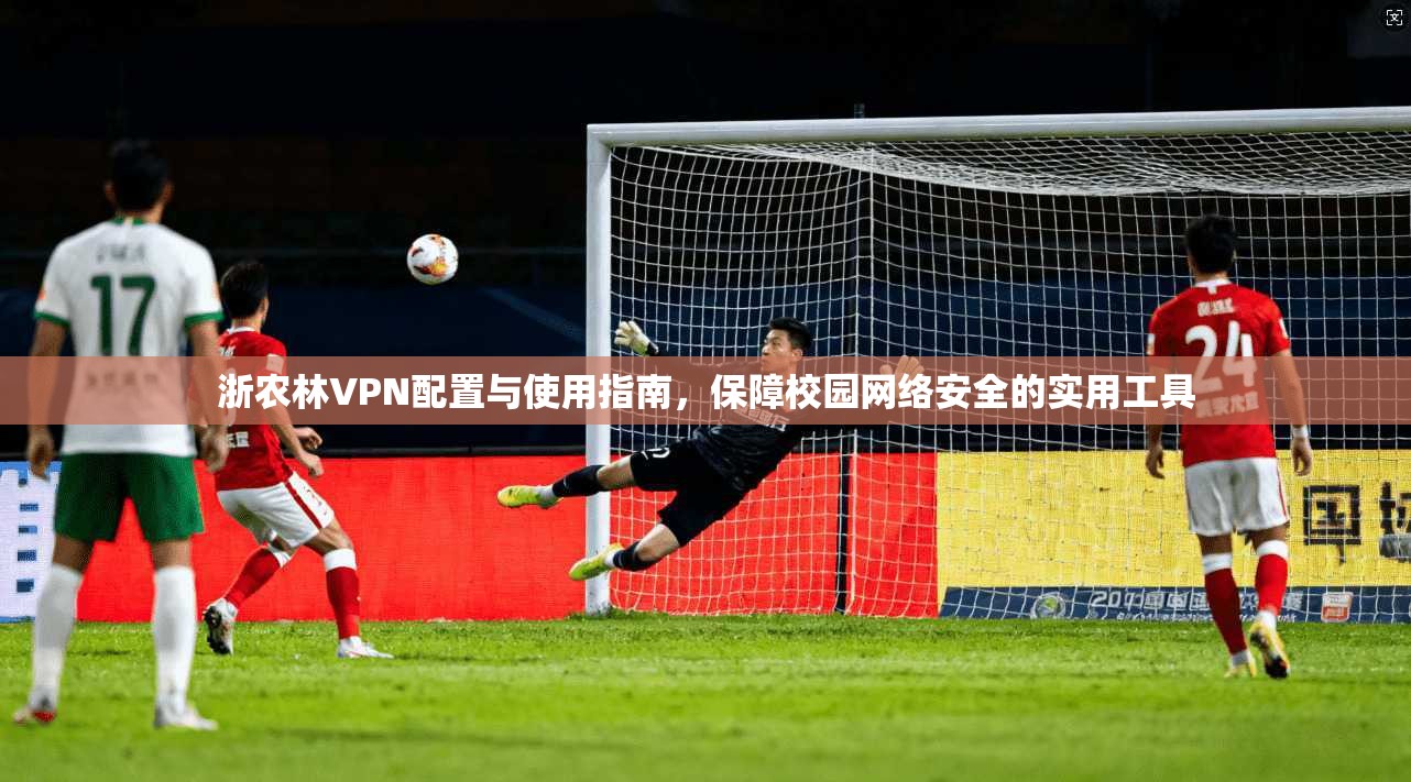 浙农林VPN配置与使用指南，保障校园网络安全的实用工具