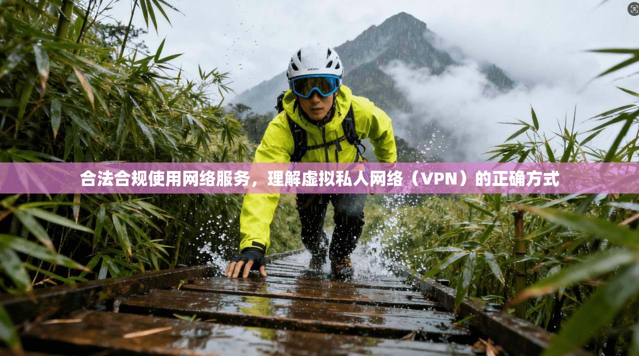 合法合规使用网络服务，理解虚拟私人网络（VPN）的正确方式