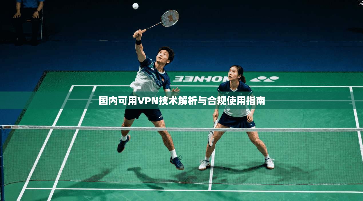国内可用VPN技术解析与合规使用指南