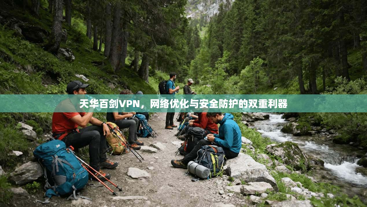 天华百剑VPN，网络优化与安全防护的双重利器
