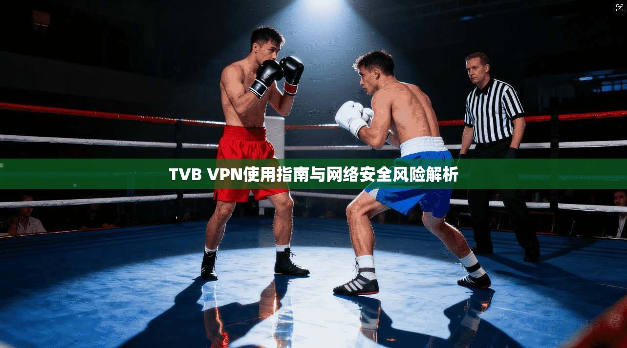TVB VPN使用指南与网络安全风险解析